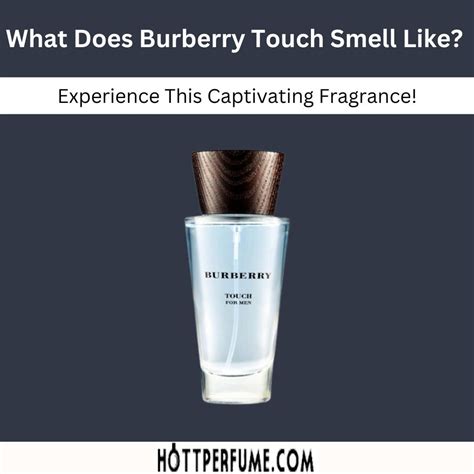 burberry touch smell